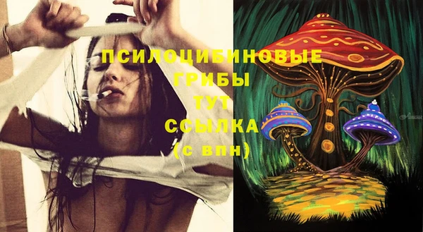 дурь Новодвинск