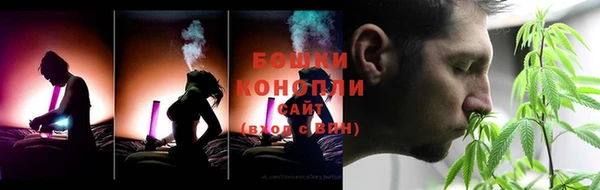 дурь Новодвинск