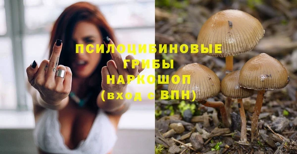 mix Новозыбков