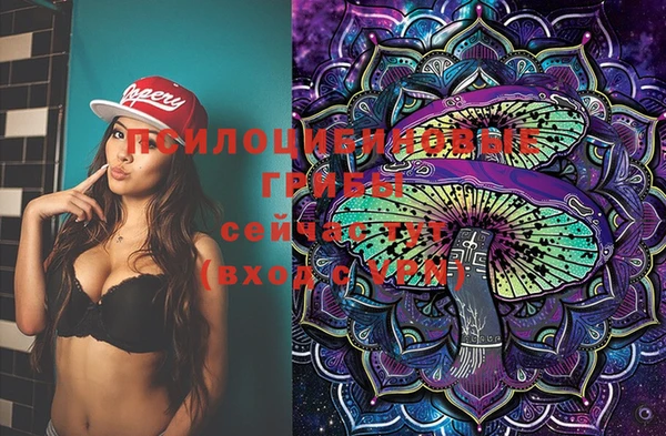дурь Новодвинск