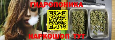 каннабис Берёзовский