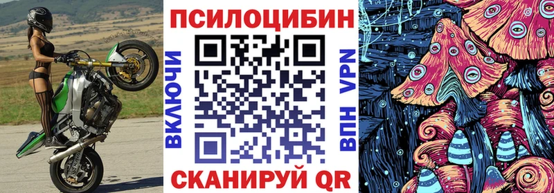 что такое   Истра  Галлюциногенные грибы Psilocybine cubensis 