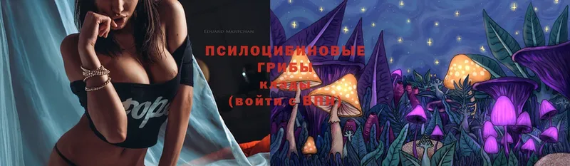 Галлюциногенные грибы Magic Shrooms  Истра 