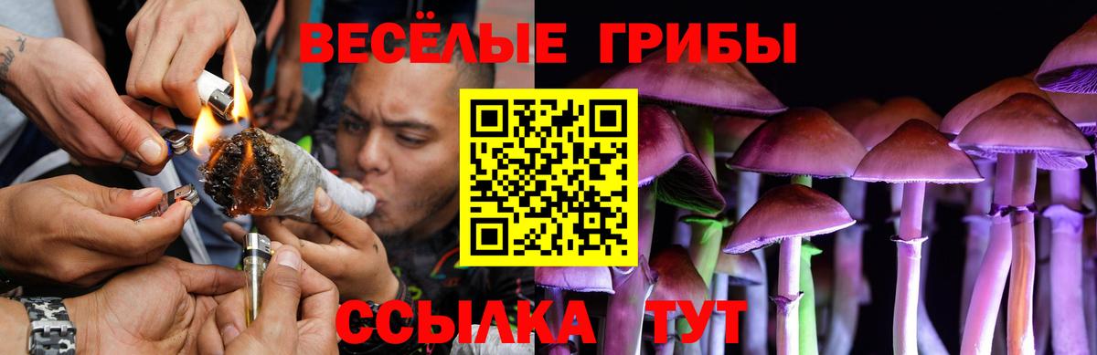 Галлюциногенные грибы прущие грибы  Вход с VPN  Псилоцибиновые грибы мицелий  Истра 