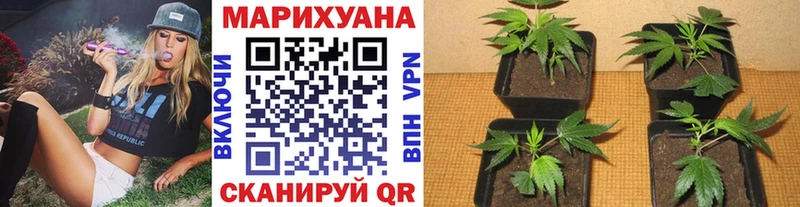 Канабис тримм  Истра 